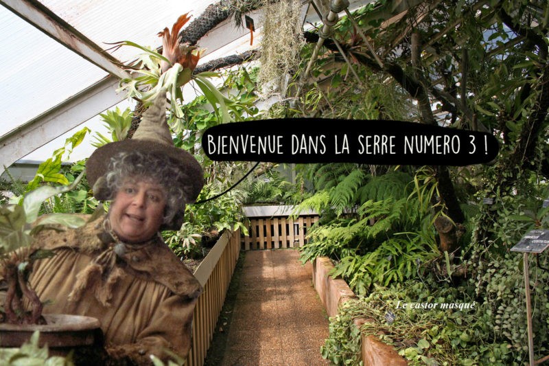 Madame Chourave Tête d'Or Lyon