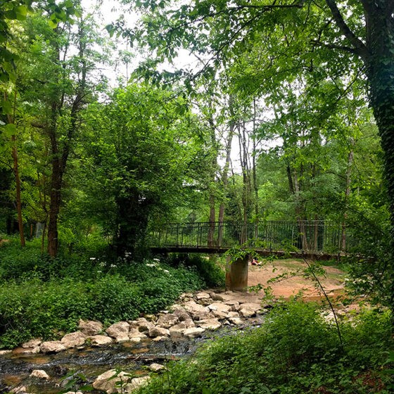 5 balades en forêt près de Lyon pour faire le plein de nature