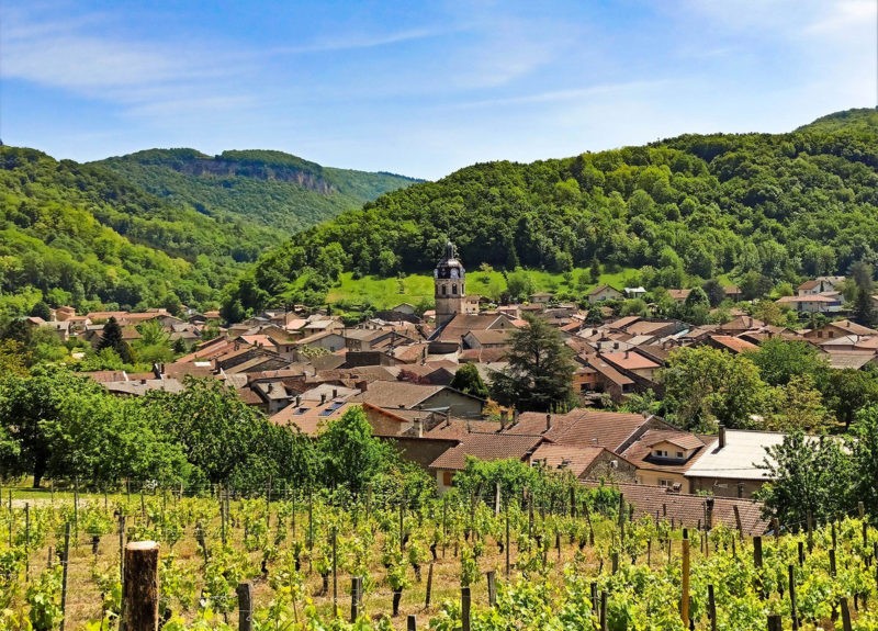 Photo BPDWE Octobre vignes de Vaux en Bugey Ketty Tranchina