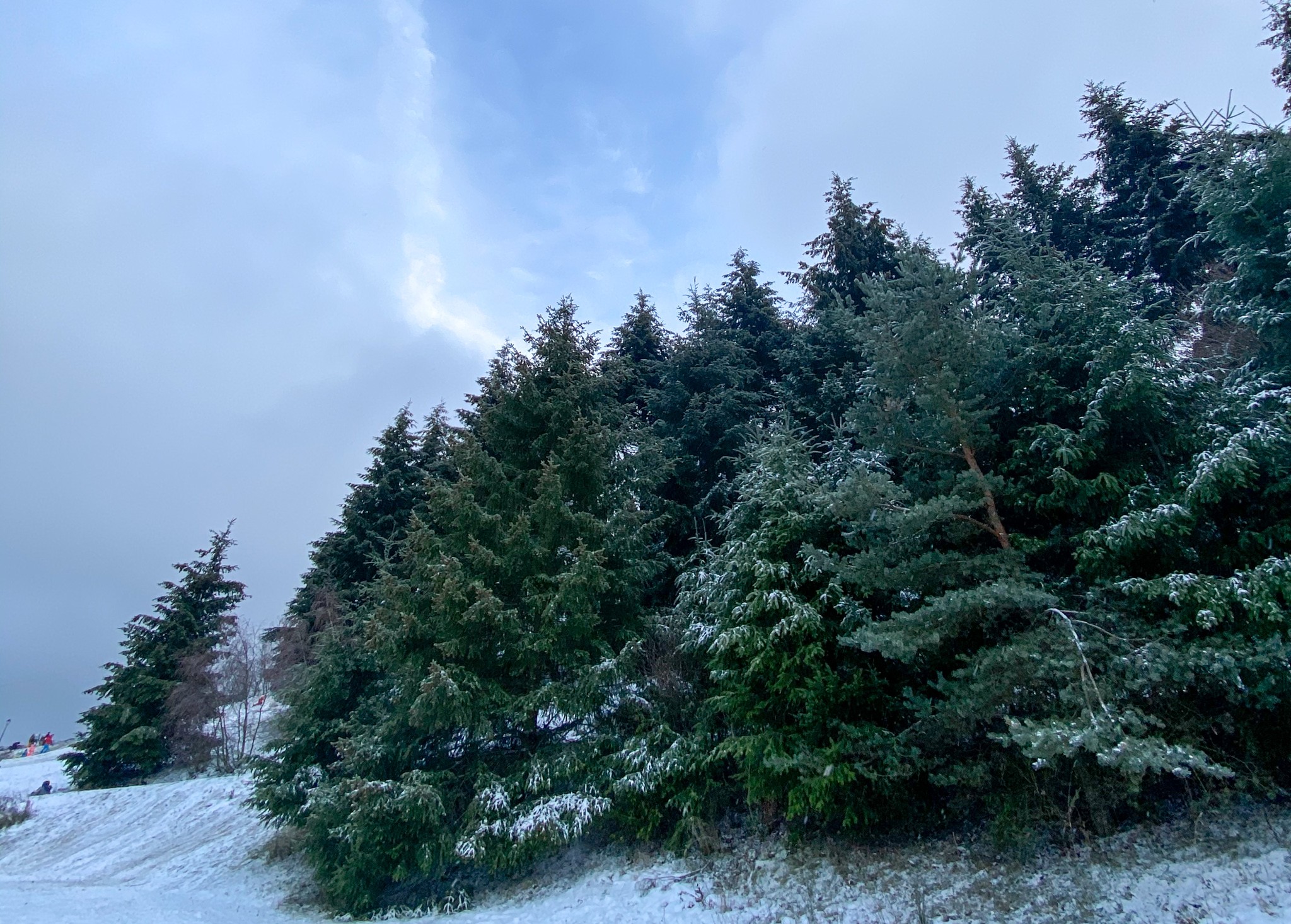 On a testé une balade hivernale autour du lac du Ronzey