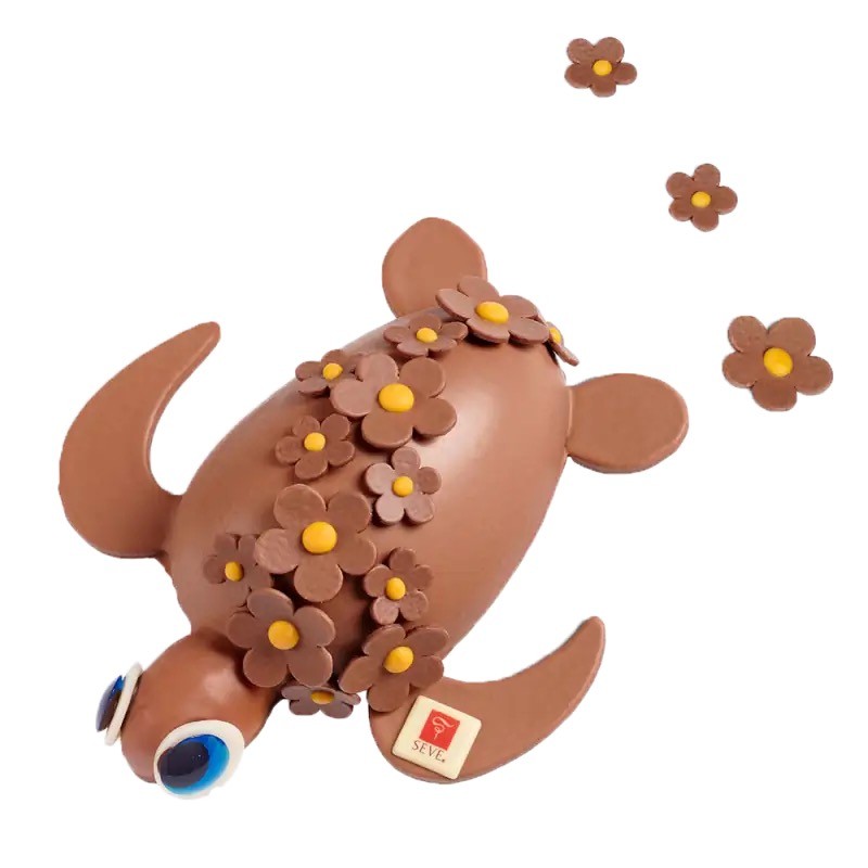 Tortue en chocolat Tortue en chocolat