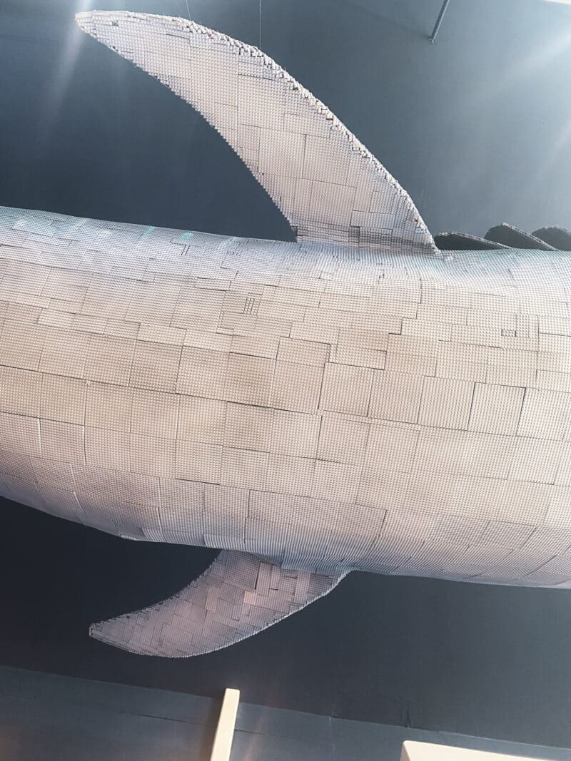 Requin Baleine en Légo