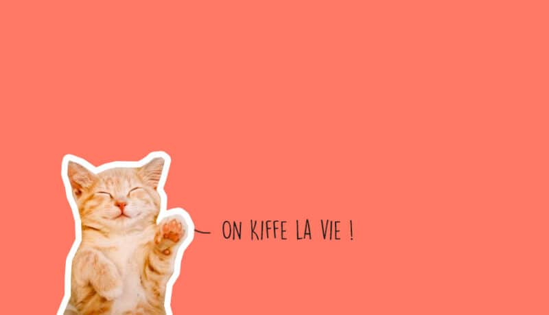Que faire à Lyon ce week-end ? 