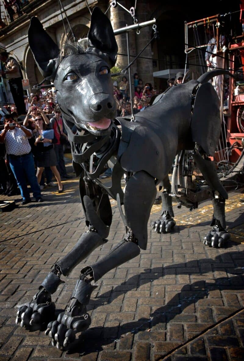 Chien géant "Bull machin Festival" Villeurbanne