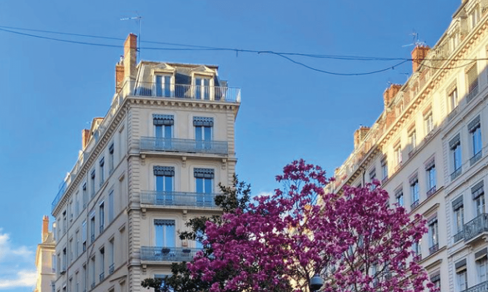 Que faire à Lyon cette semaine ? (du 20 au 24 mars 2023)