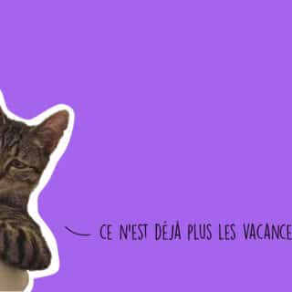 Que faire à Lyon ce week-end ? (21, 22 et 23 avril 2023)