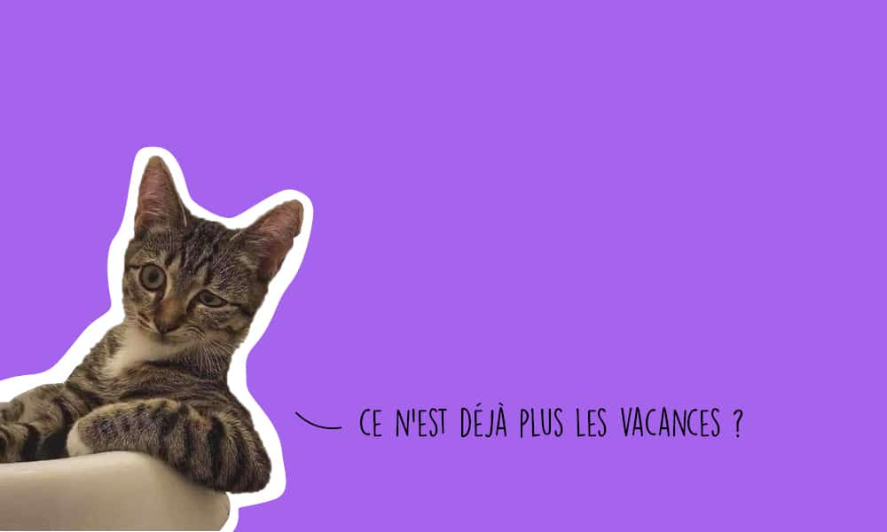 Que faire à Lyon ce week-end ? (21, 22 et 23 avril 2023)