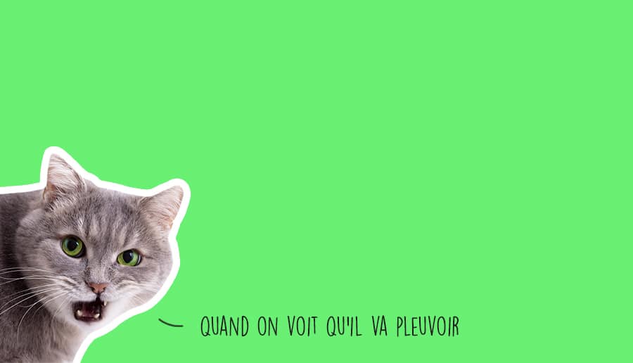 Que faire à Lyon ce week-end (2,3 et 4 juin 2023) ?