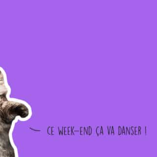 Que faire à Lyon ce week-end ? (19, 20 et 21 mai 2023)