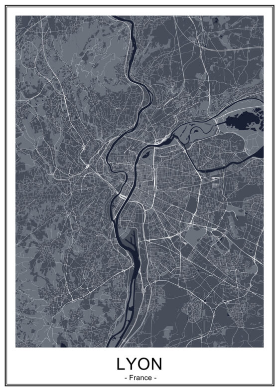Carte des arrondissements de Lyon
