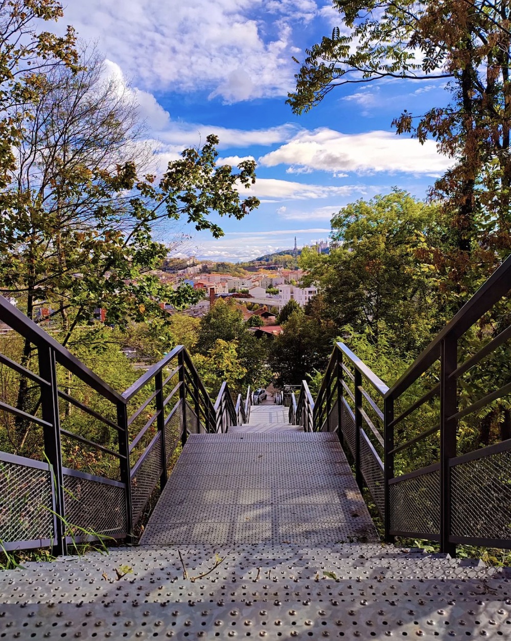 lyon nature