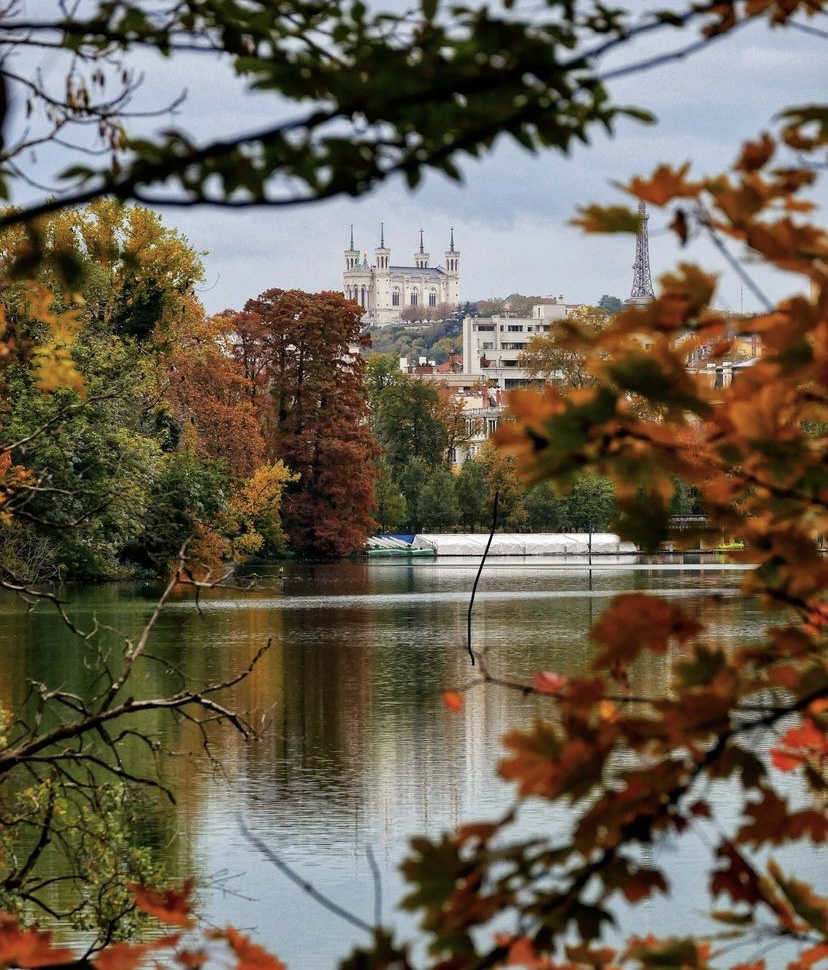 vue de fourvière en automne