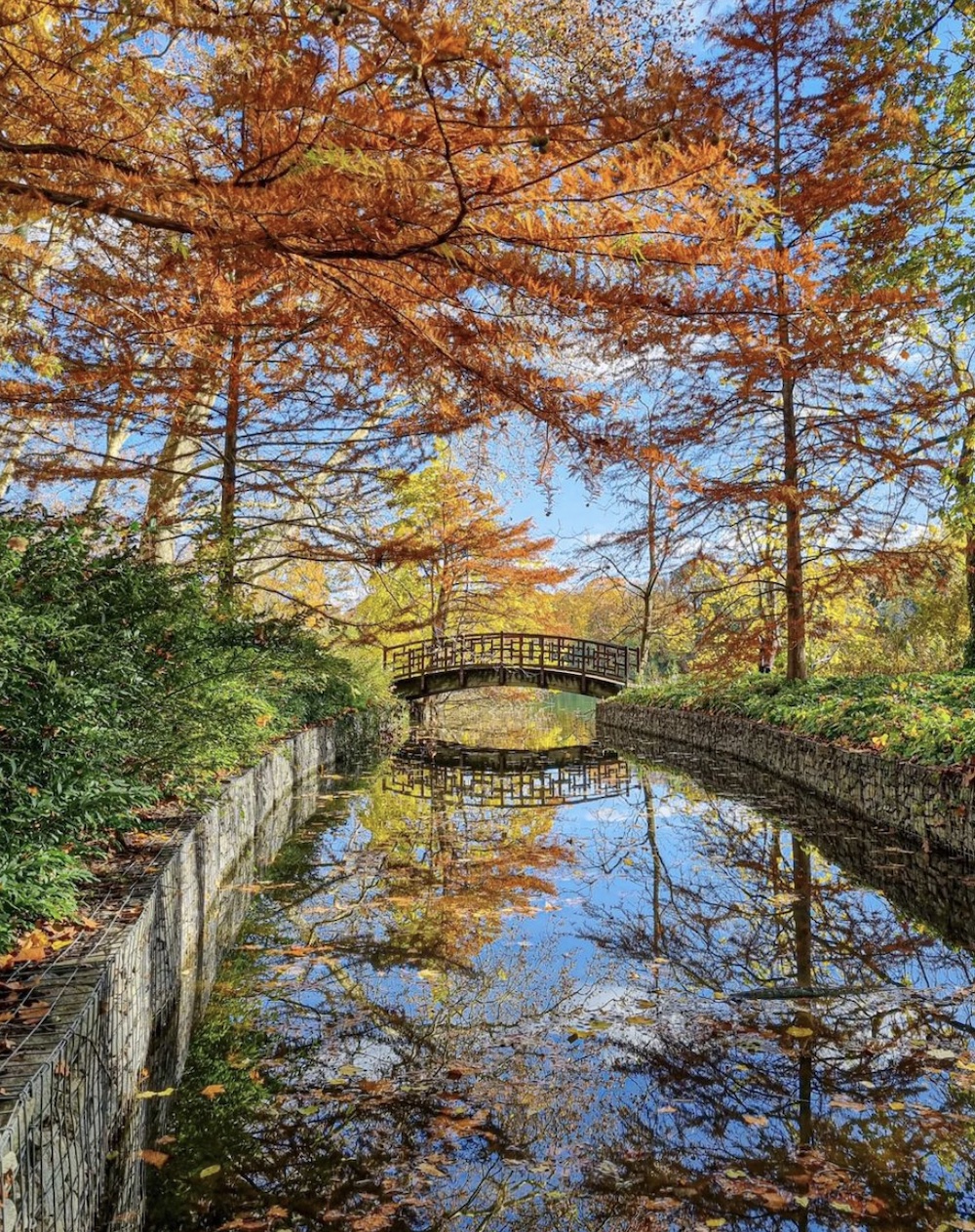 pont tête d'or 2023