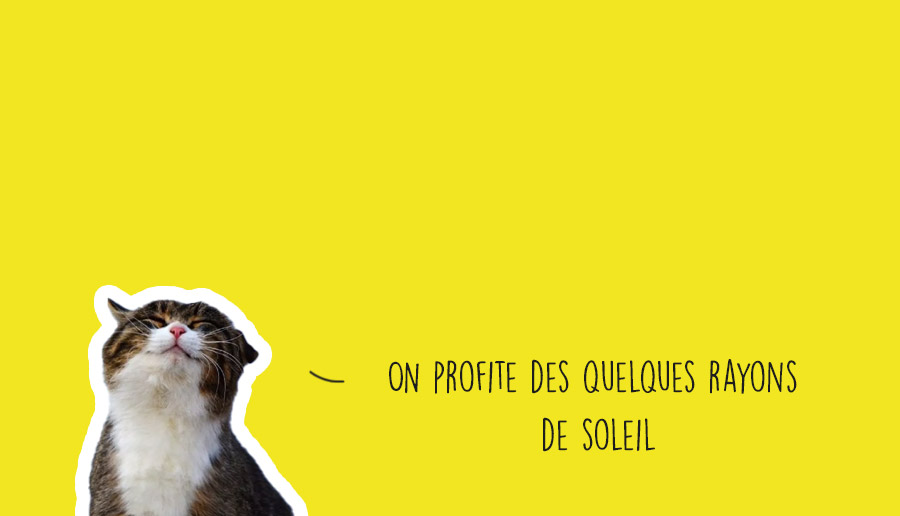 Bon plan du week-end du 19 janvier au 21 janvier 2024 lyon