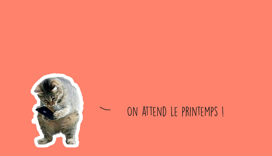 bon plan du week-end du 1er mars au 3 mars