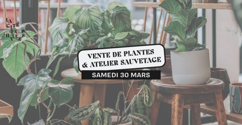 Vente de plantes et atelier sauvage à La Cité des Halles (Lyon 7)