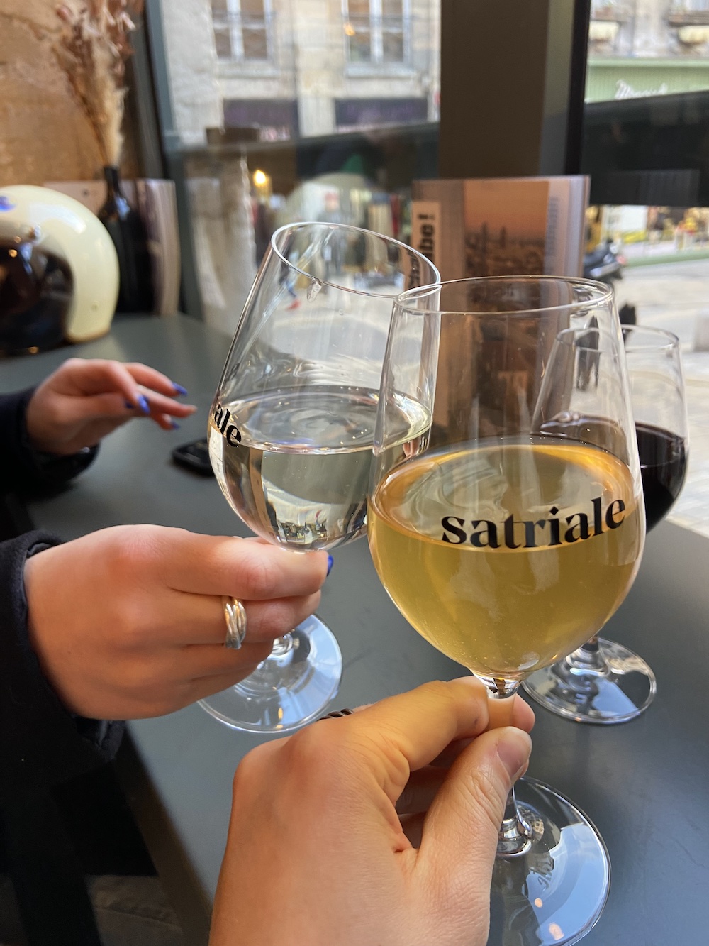 satriale lyon 1