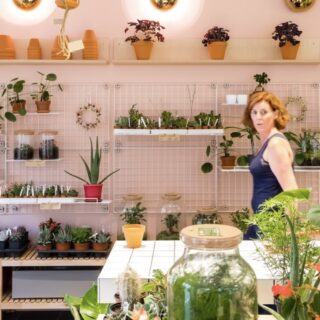 Gloriette : la petite jardinerie urbaine