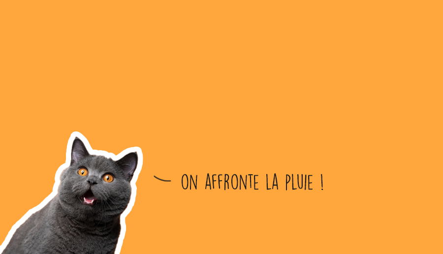 Que faire à Lyon ce week-end du (17,18 et 19 mai 2024) ?
