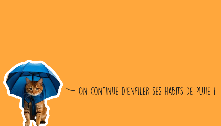 Que faire à Lyon ce week-end ?