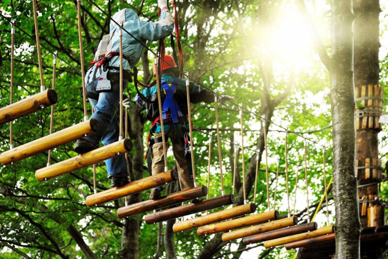 Au Fil des Arbres, Accrobranche Blacé 