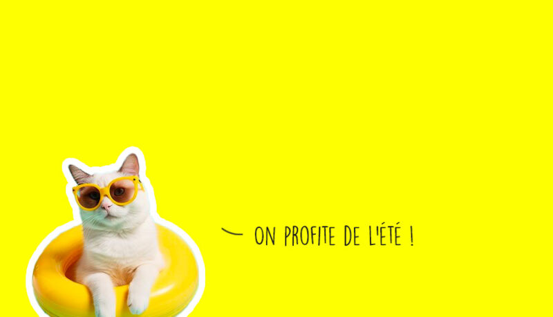 Que faire à Lyon ce week-end ?(le 3, 4 et 5 juillet 2026)