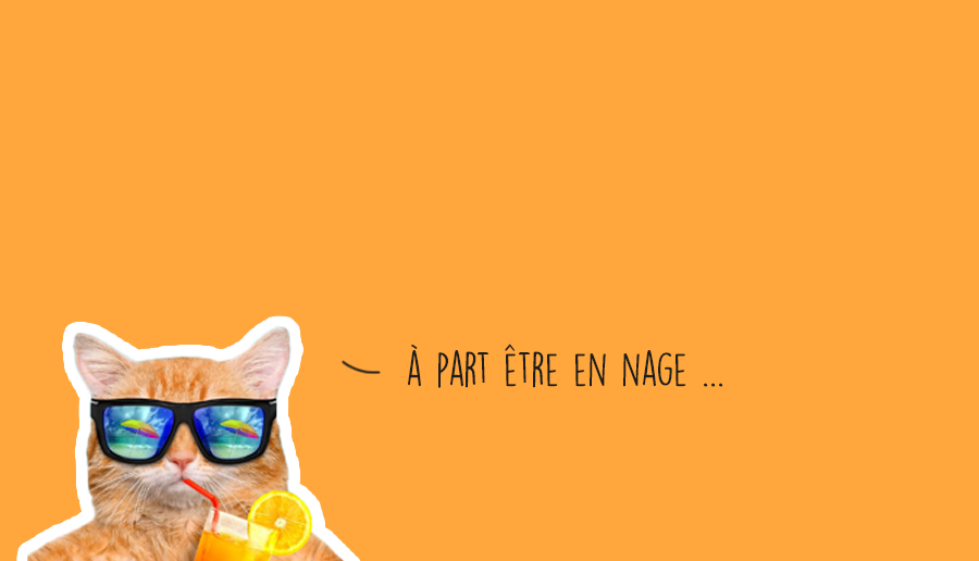 que faire à lyon en août