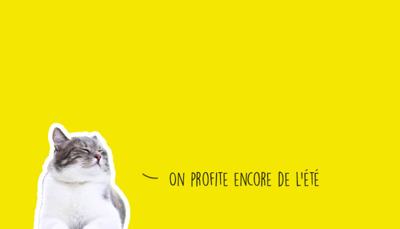 Que faire à Lyon ce week-end ?