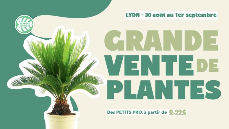 Grande Vente de Plantes à In-Sted (Lyon 3)
