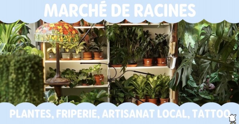 Plantes et Friperies à Pilo (Lyon 1)
