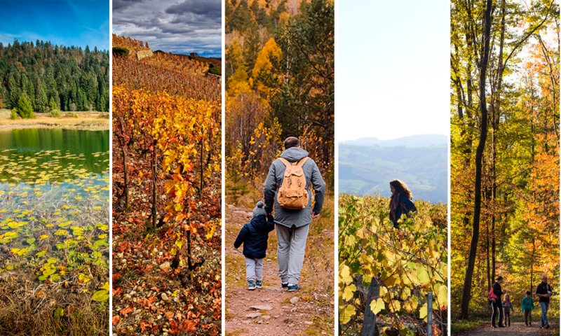 5 balades incontournables à faire autour de Lyon cet automne