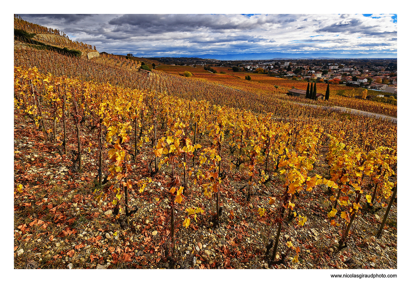 les collines de l'Hermitage