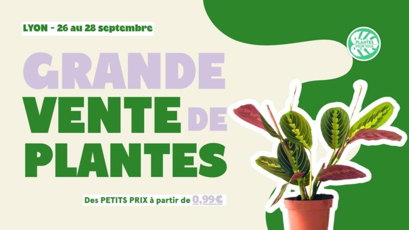 Que faire à Lyon cette semaine ? (du 23 au 27 septembre 2024)