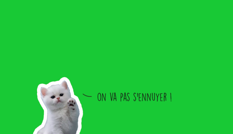 Que faire à Lyon ce week-end ? (27, 28 et 29 septembre 2024)
