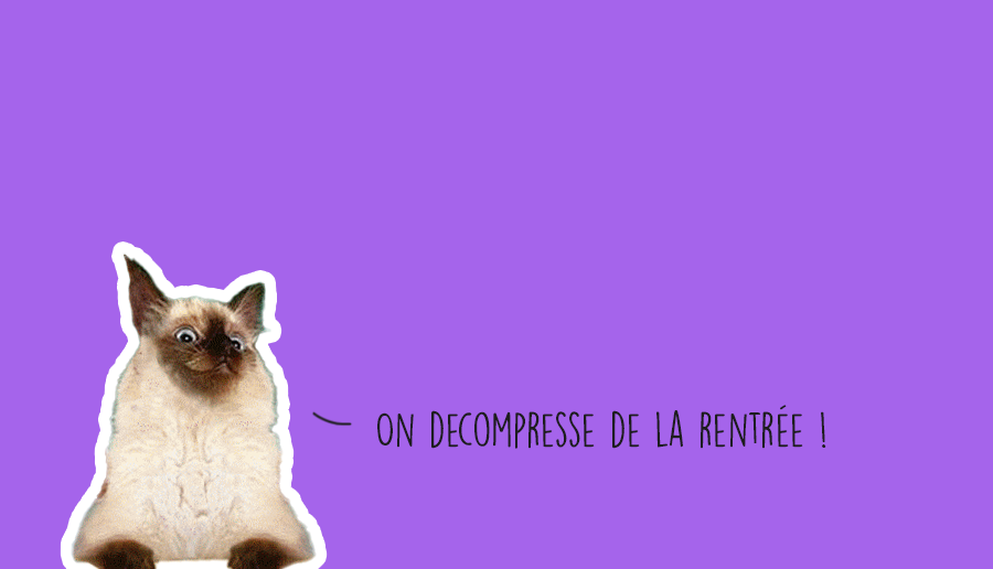 Que faire à Lyon ce week-end du (6 au 8 septembre 2024) ?