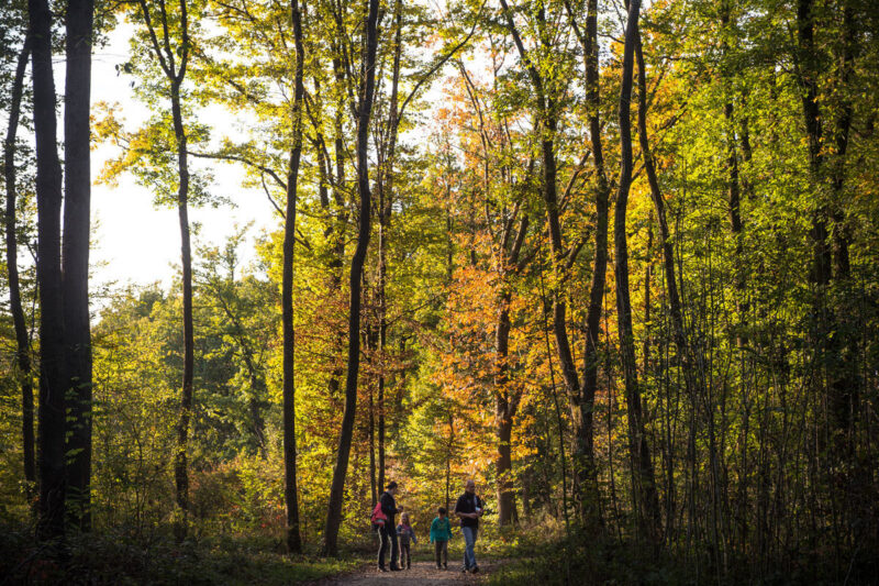Parc de Lacroix-Laval
