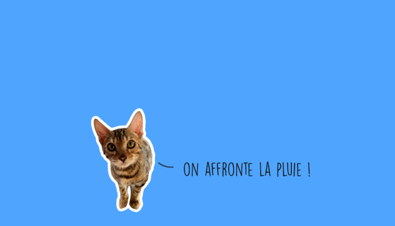 Que faire à Lyon ce week-end ? (11, 12 et 13 octobre 2024) Que faire à Lyon ce week-end ? (11, 12 et 13 octobre 2024)