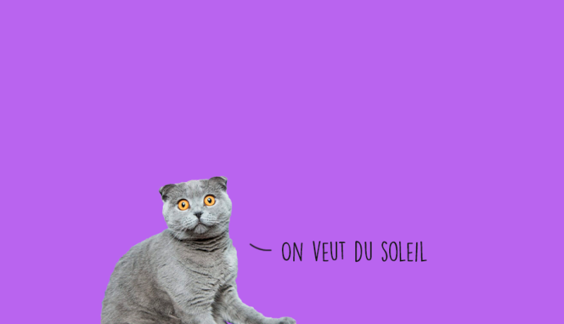 Que faire à Lyon ce week-end ? (18, 19 et 20 octobre 2024) Que faire à Lyon ce week-end ? (18, 19 et 20 octobre 2024)