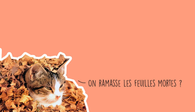 Agenda sorties du week-end à Lyon Agenda sorties du week-end à Lyon