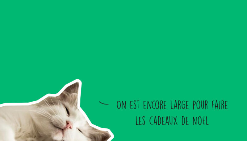 Agenda sortie du week-end à Lyon