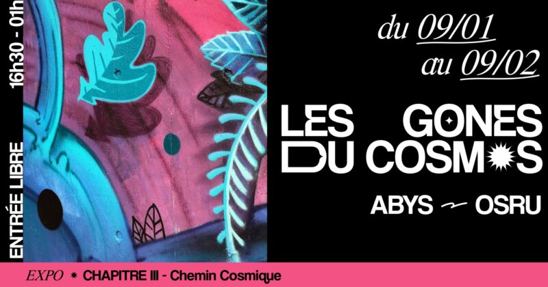 Que faire à Lyon ce week-end (31 janvier, 01 et 02 février 2025) ? Que faire à Lyon ce week-end (31 janvier, 01 et 02 février 2025) ?