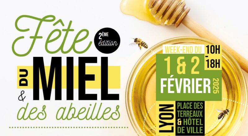 Que faire à Lyon ce week-end (31 janvier, 01 et 02 février 2025) ? Que faire à Lyon ce week-end (31 janvier, 01 et 02 février 2025) ?