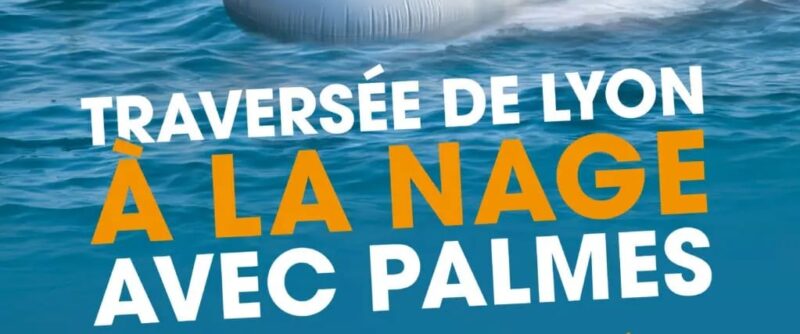 palmes e1736854249478