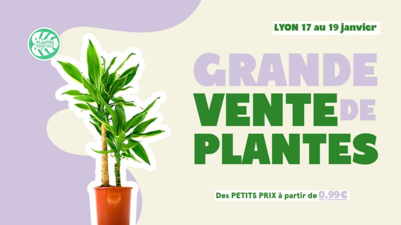 vente plantes