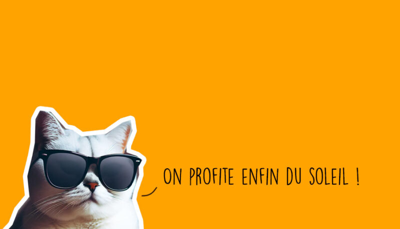 Que faire à Lyon ce week-end ? 