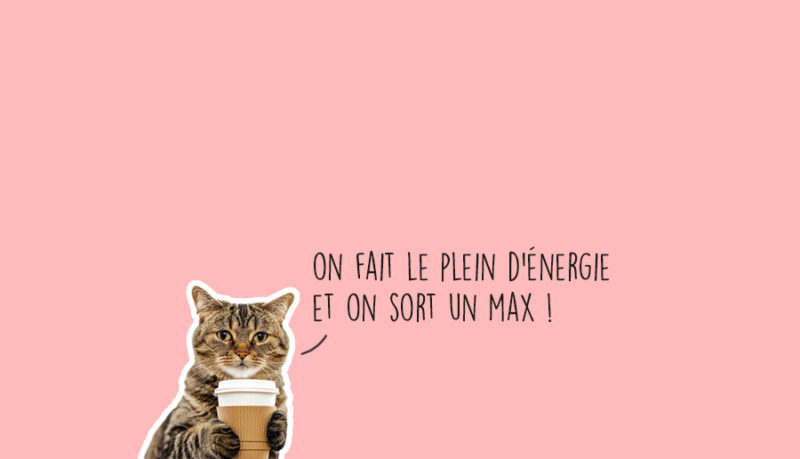 Que faire à Lyon ce week-end ? (Du 28 février au 02 mars 2025) chat