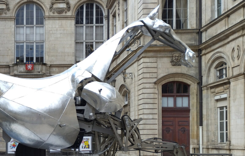 Zeus, le cheval des JO de Paris débarque à Lyon Zeus, le cheval des JO de Paris débarque à Lyon
