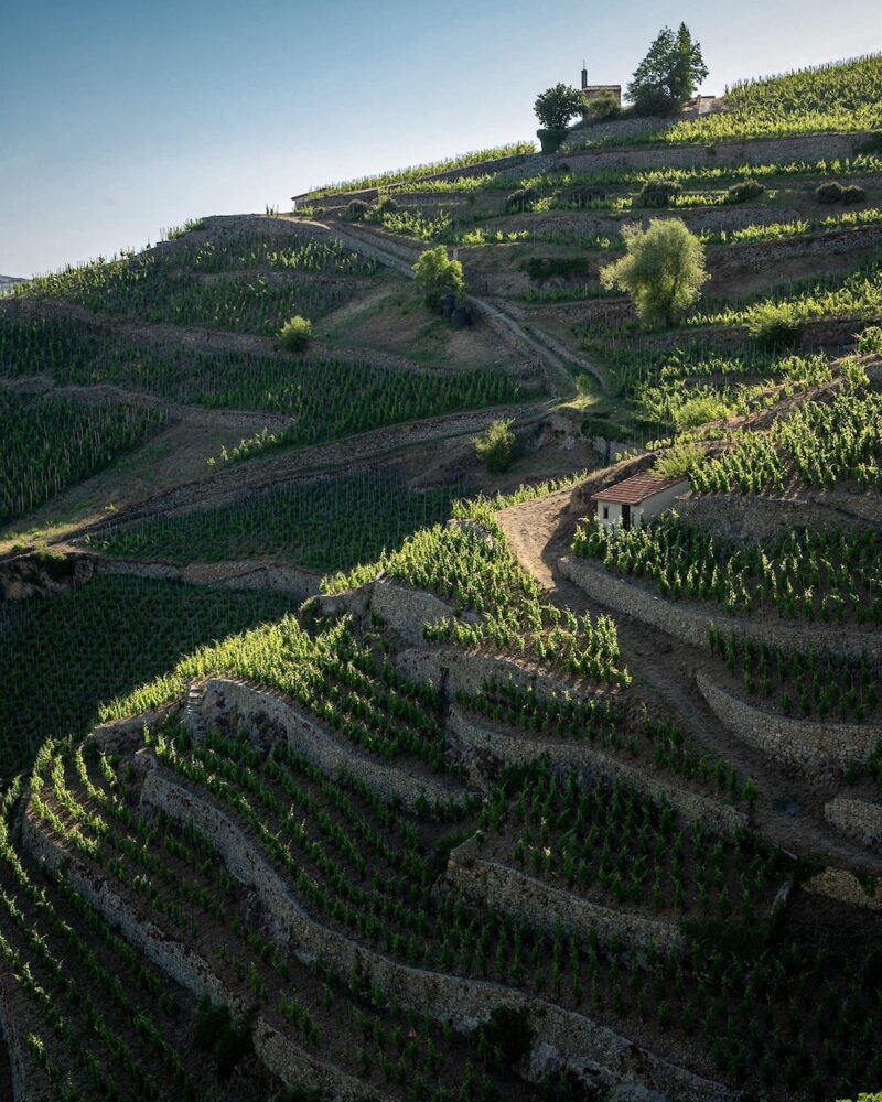 Colline de l'Hermitage