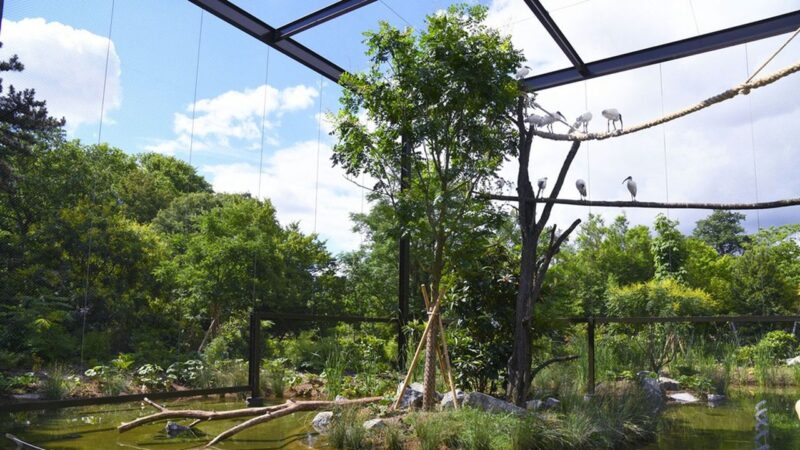 La Forêt d'Asie à Lyon La Forêt d'Asie à Lyon