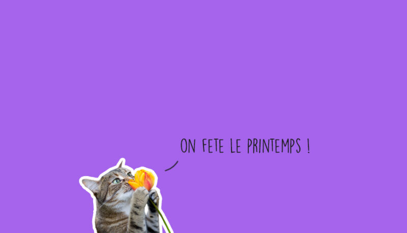 Que faire à Lyon ce week-end ? Que faire à Lyon ce week-end ?